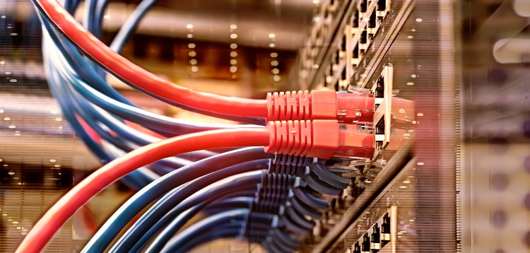Server rack with blue and red internet patch cord cables connected to black patch panel in data serv