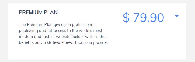 Builderall Premium