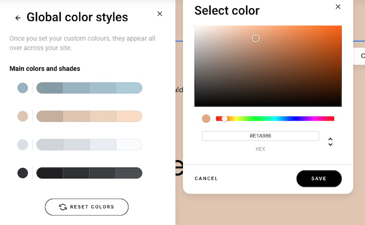 zyro-site-wide-customizations