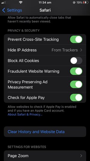 Safari additional settings