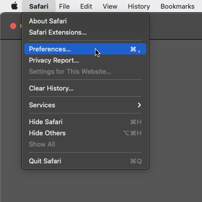 Open Safari Preferences