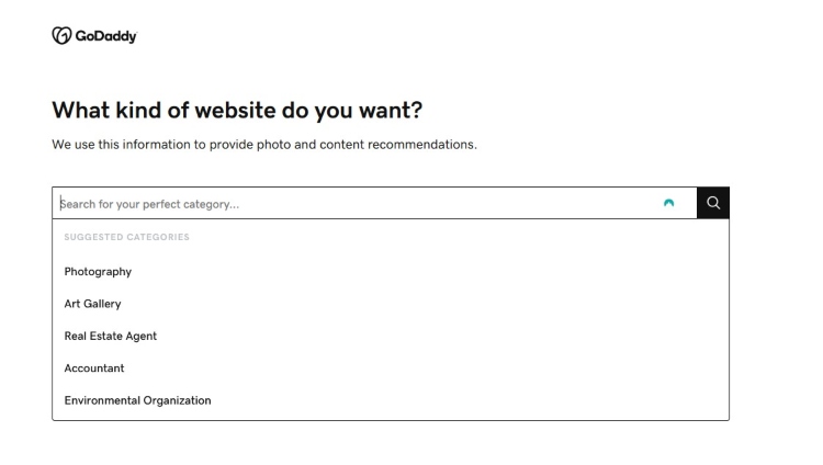Godaddy-questionaire