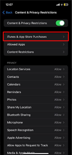 iphone itunes app store purchases