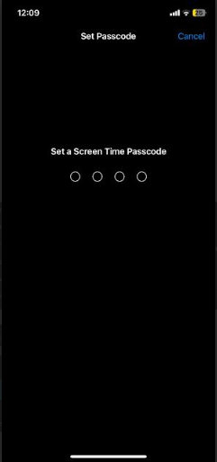 iphone set screen passcode