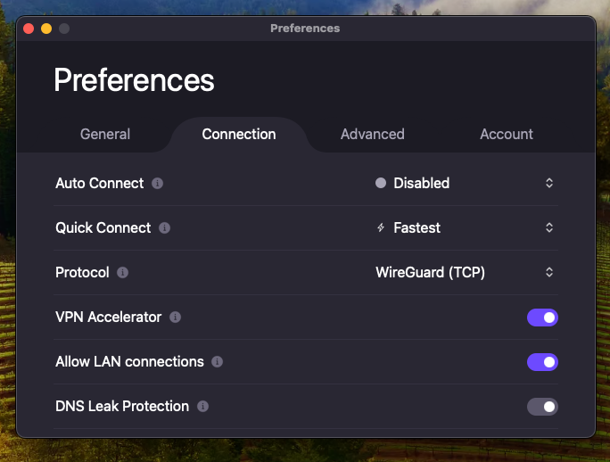Proton VPN’s simplified interface