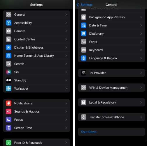 iphone reset or transfer option