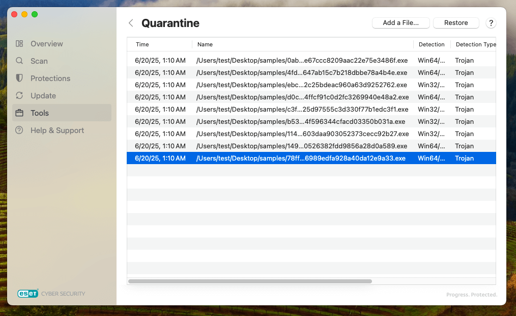 ESET real-time protection ransomware detection test results