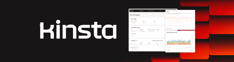 Kinsta banner