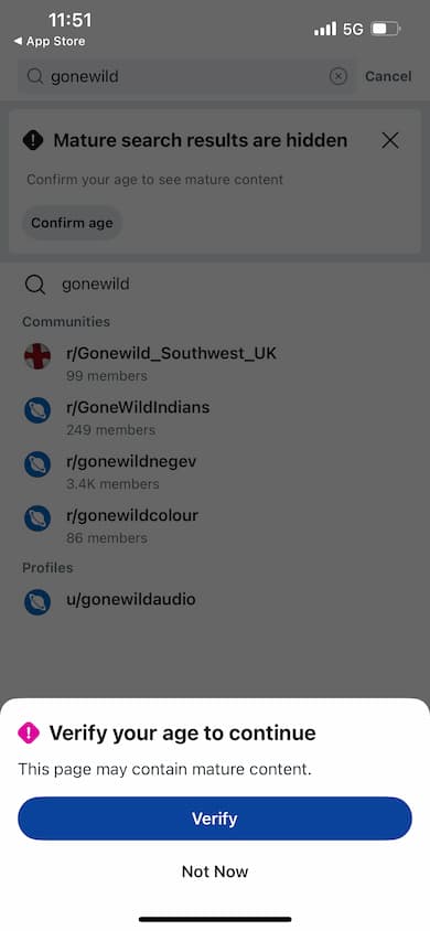 Reddit asking to verify age in order to access NSFW subreddit