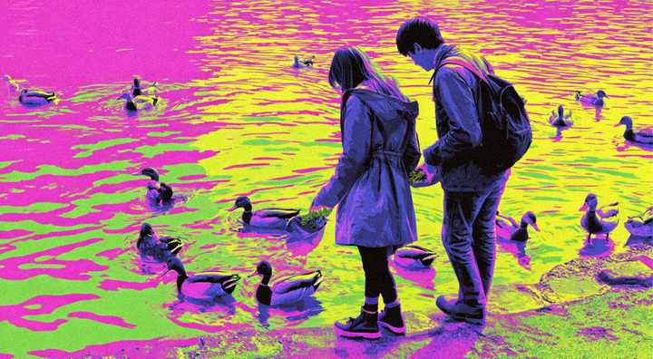 silluet of a woman wearing a coat, and a man, lake, feeding ducks, pink