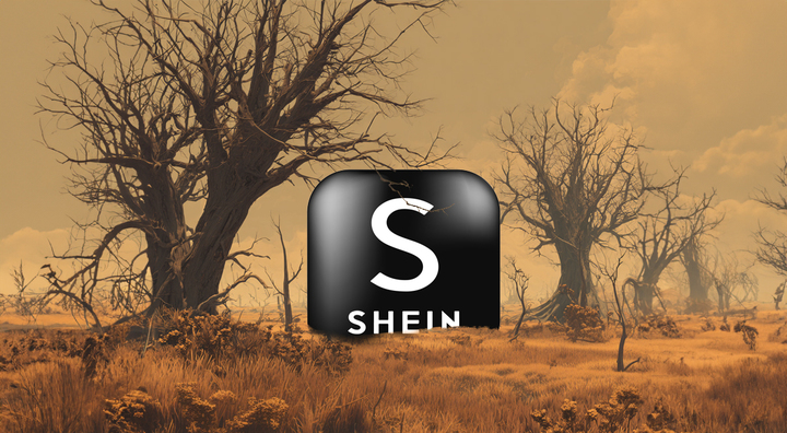 shein black logo, dead brown flowers and trees, brown color grading