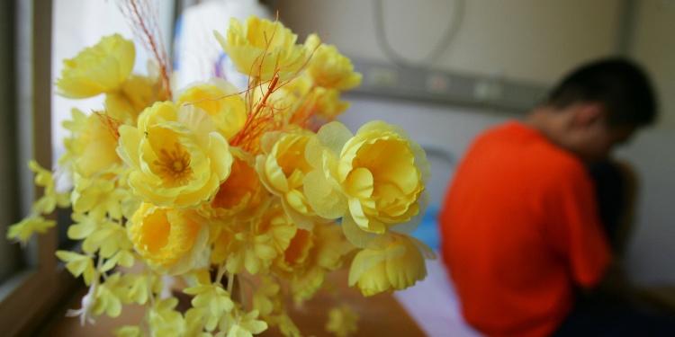 An internet addict with yellow flowers in the foreground.