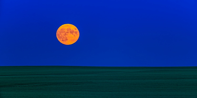 An orange moon on a midnight blue sky.