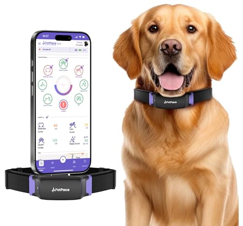 Large image for amazon product "PetPace Smart Collar 2.0"