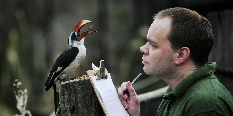 Annual stockcheck at London Zoo