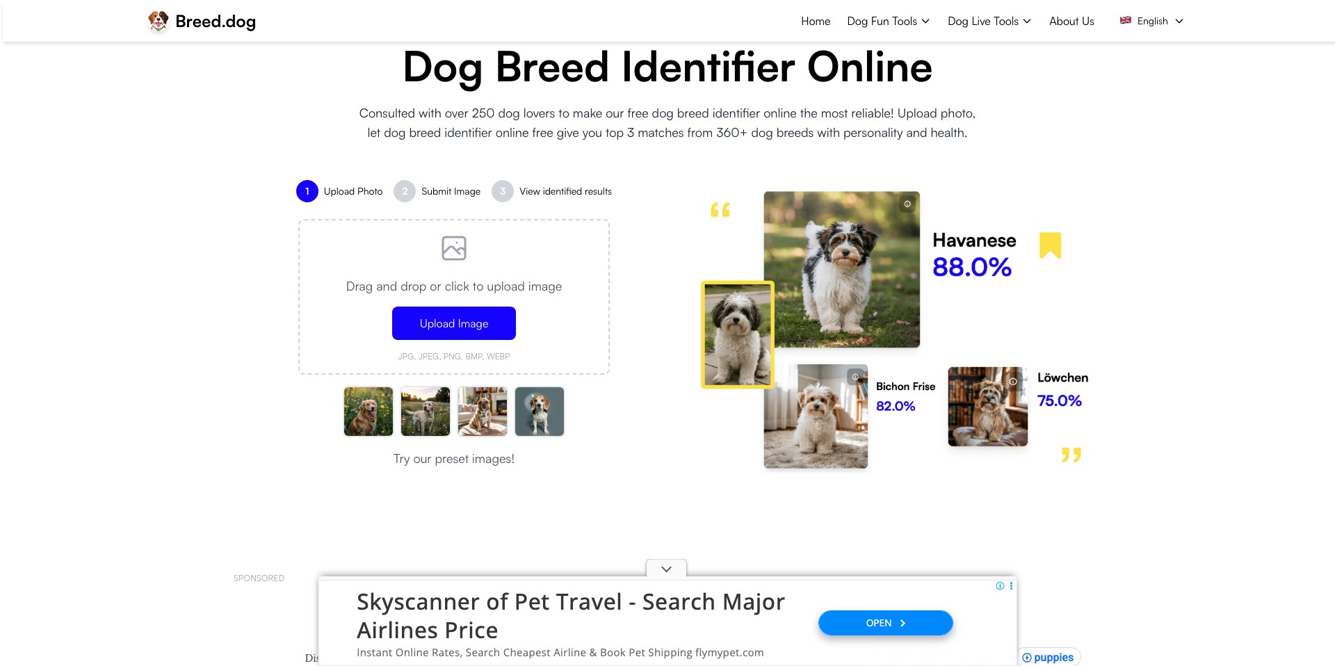 Breed.dog Screenshot