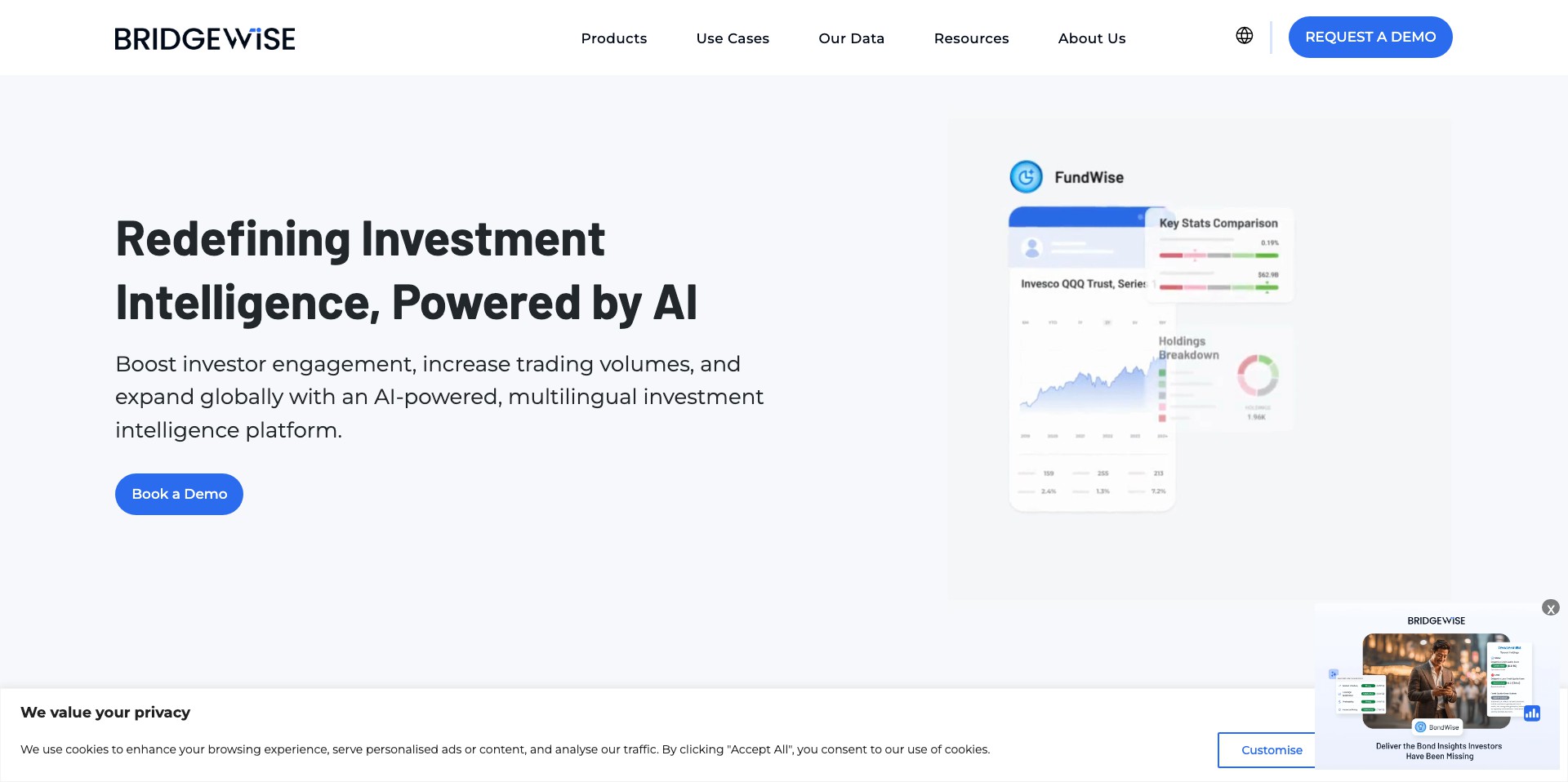 BridgeWise Screenshot