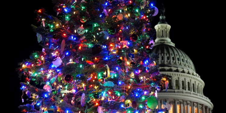 A Christmas tree next to St Pauls cathedral.
