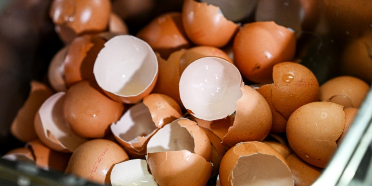 Broken eggshells.