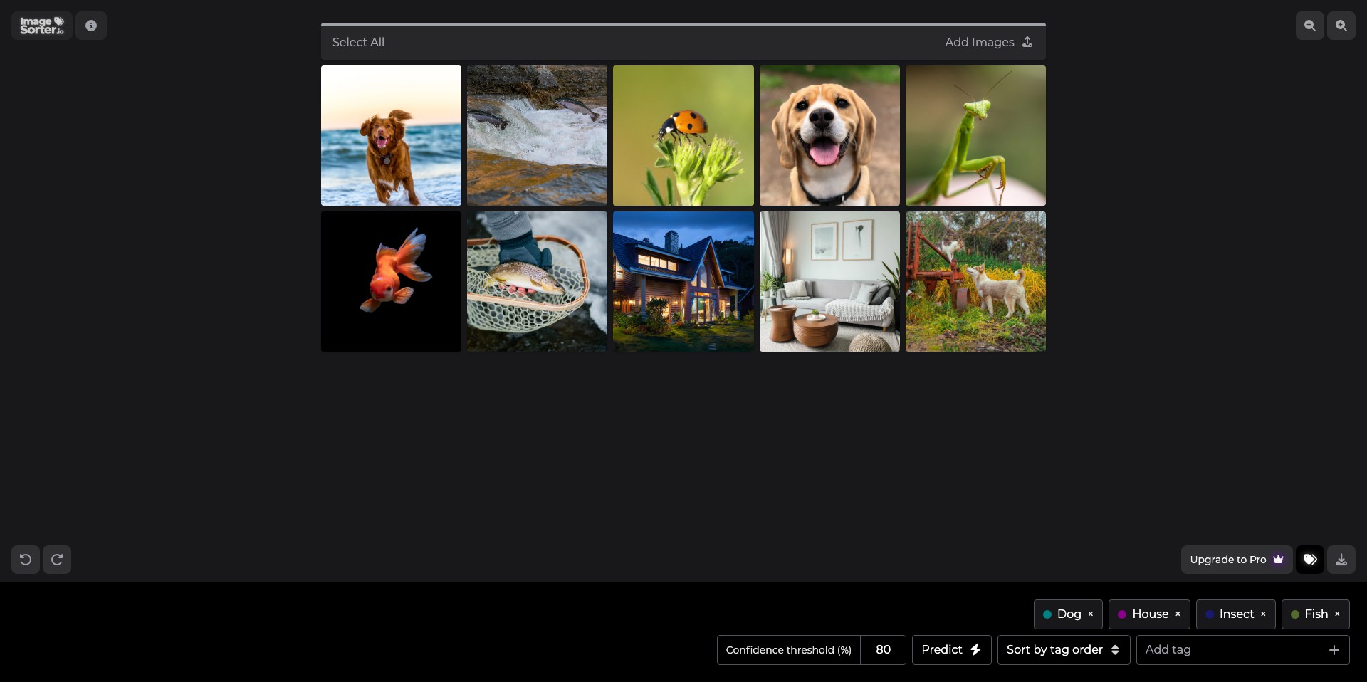 ImageSorter Screenshot