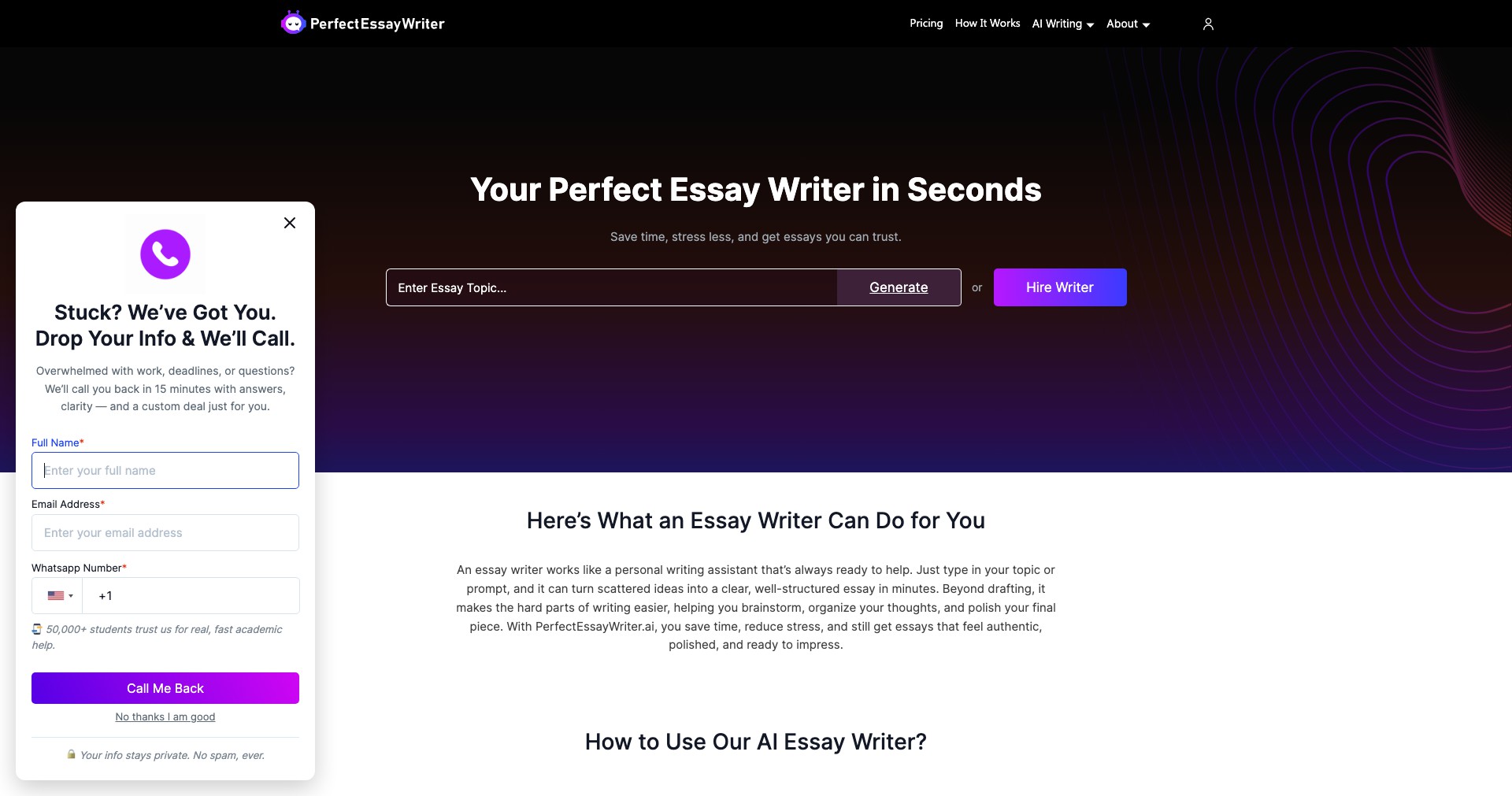 PerfectEssayWriter Screenshot