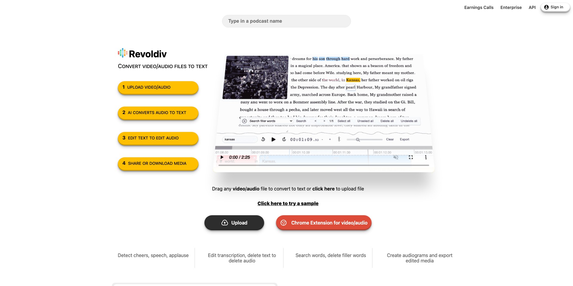 Revoldiv v2.1 Screenshot