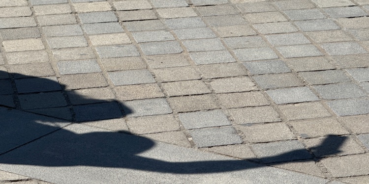The shadow of a tourist on the pavement.