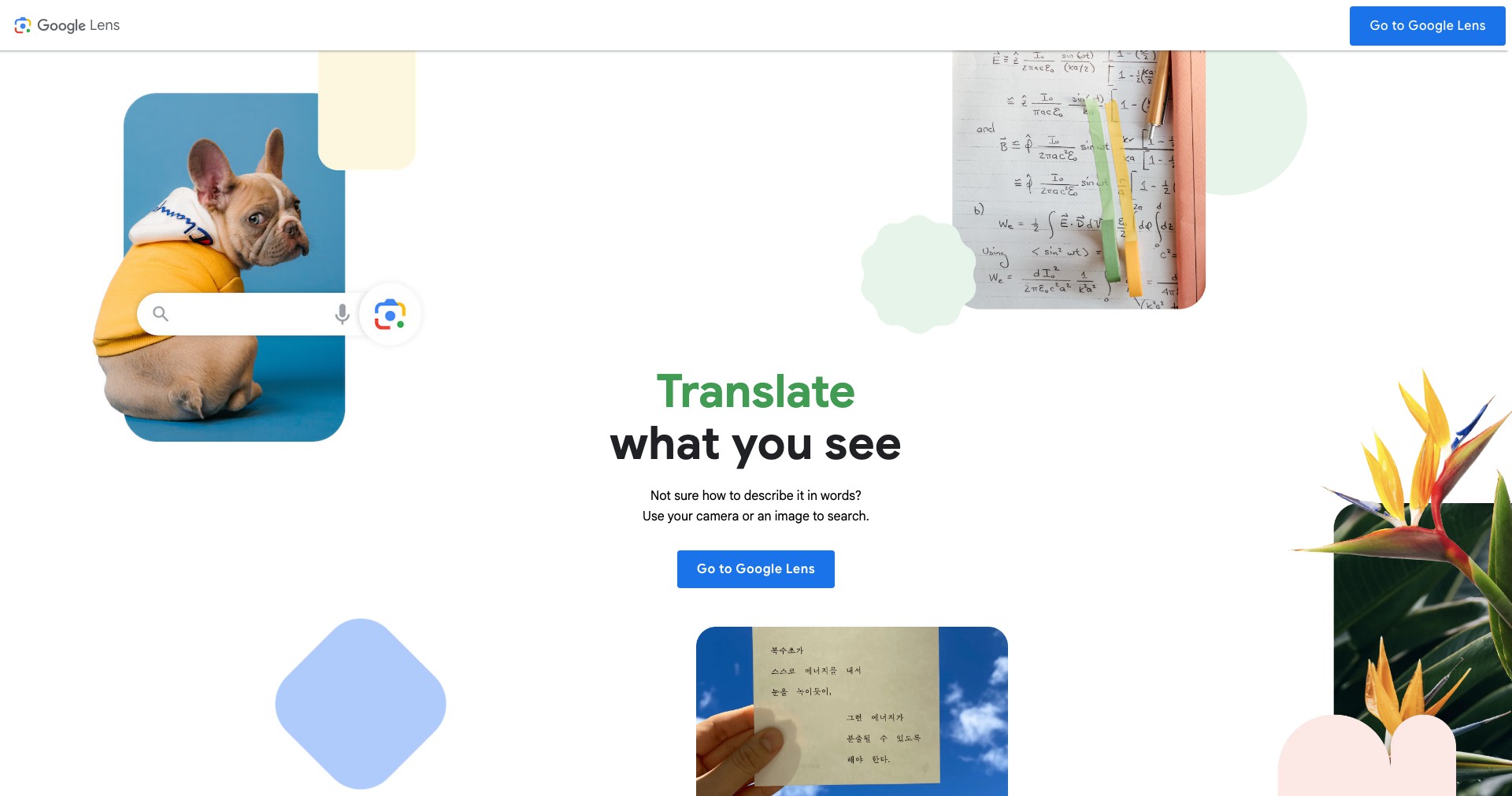 Socratic Screenshot