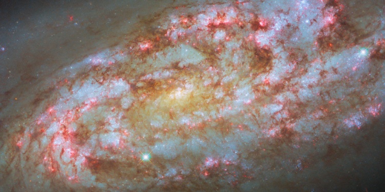 A starburst star cluster.