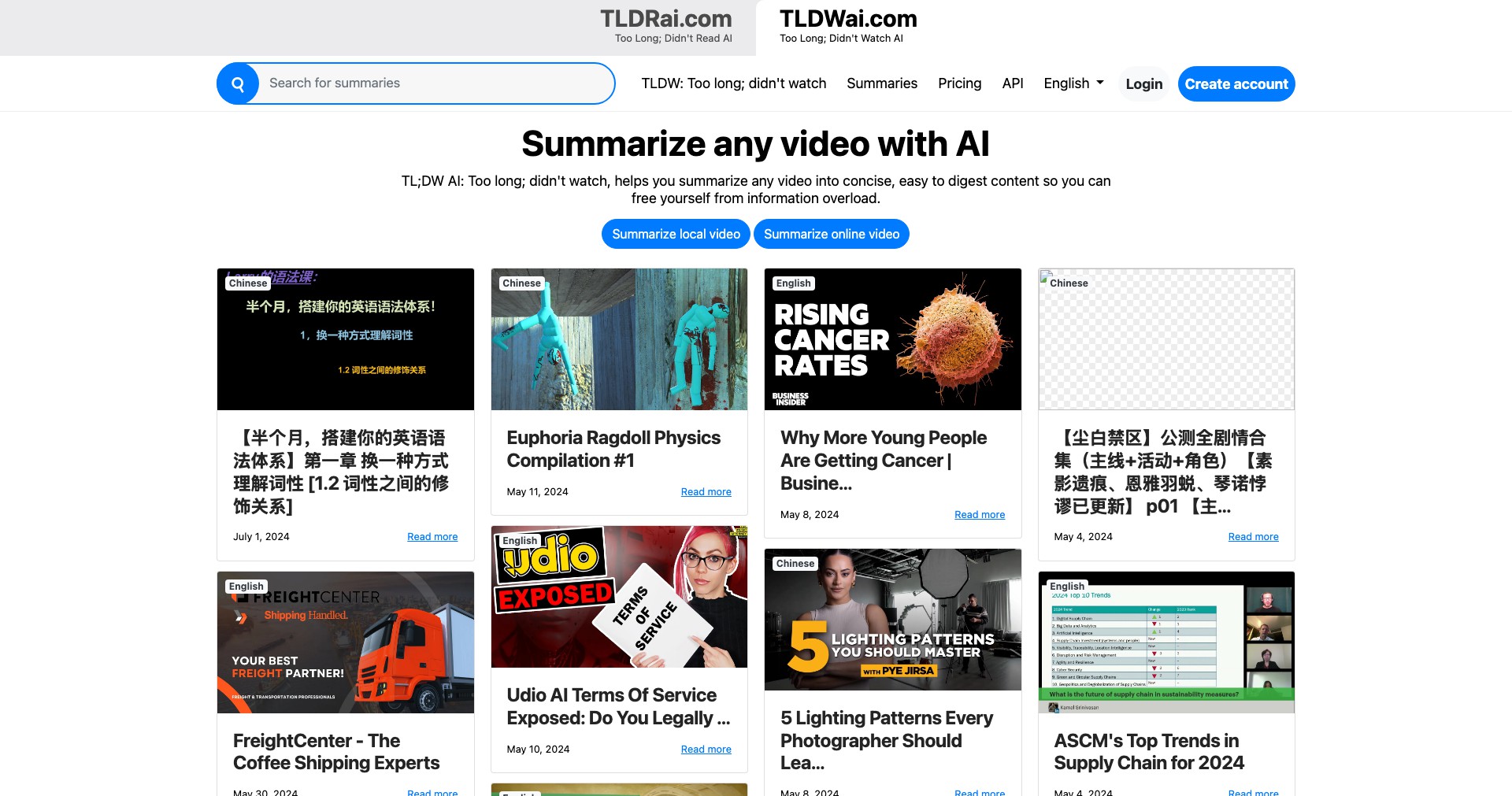 TLDWAI Screenshot