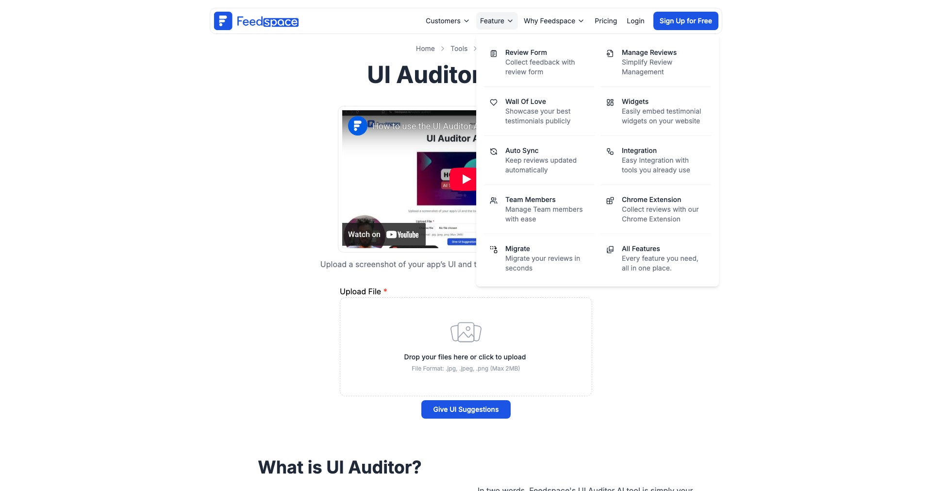 UI Auditor AI Tool Screenshot