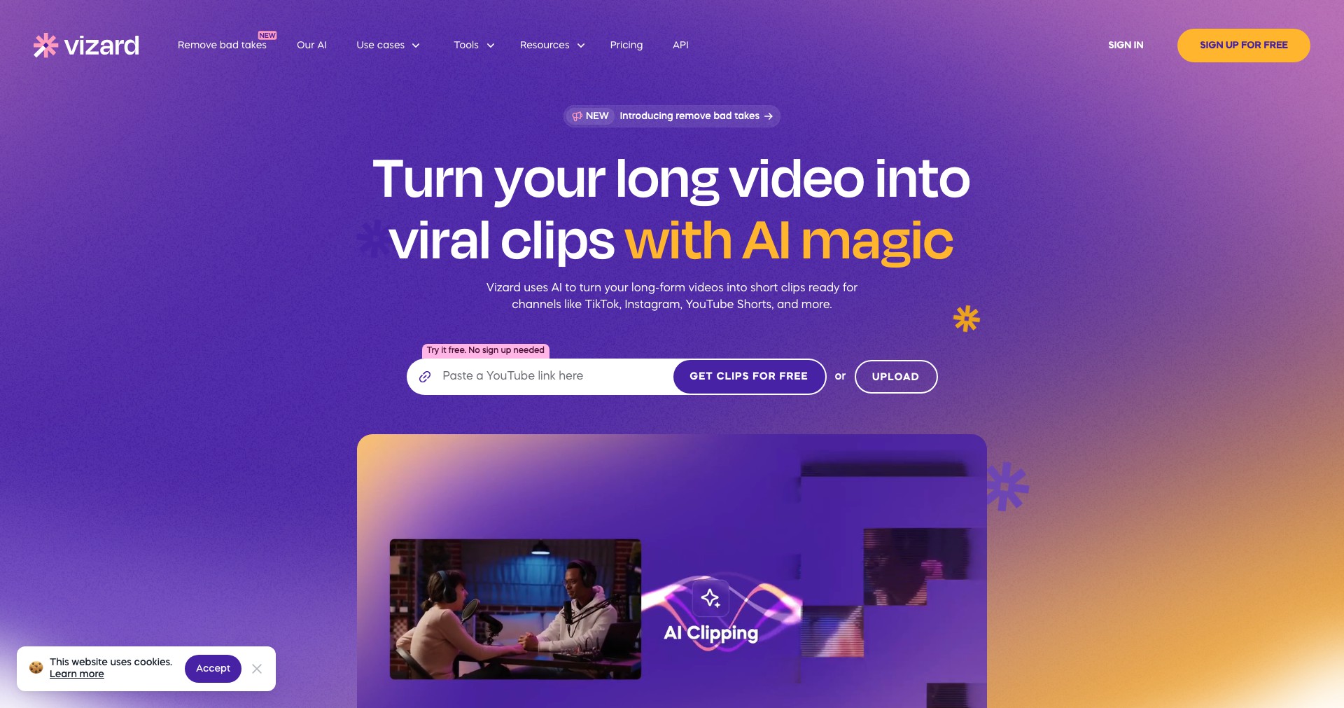 Vizard Screenshot