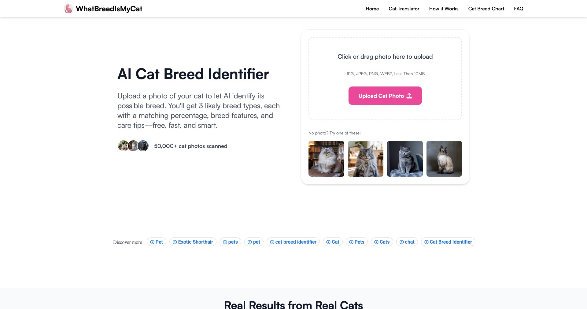 WhatBreedIsMyCat Screenshot