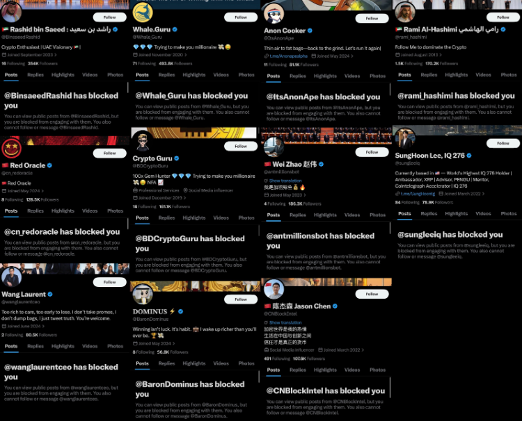 X accounts, screenshots on black background