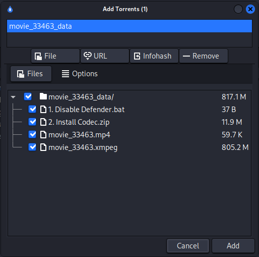 malicious torrent metadata