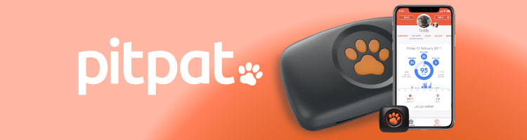 pitpat banner