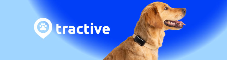 tractive banner