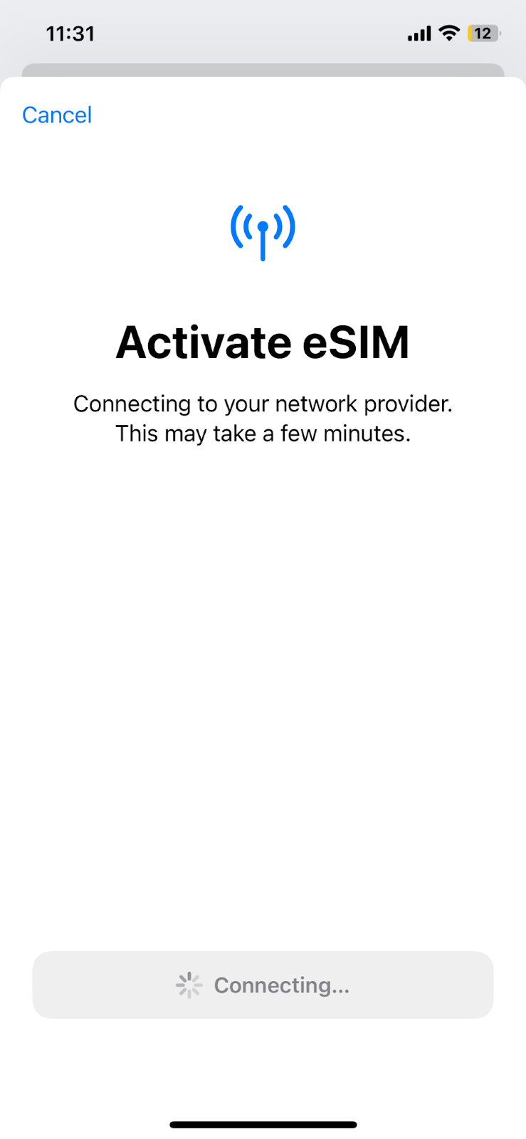 eSIM activation prompt on an iPhone