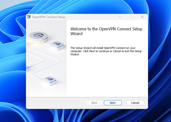 OpenVPN installation wizard