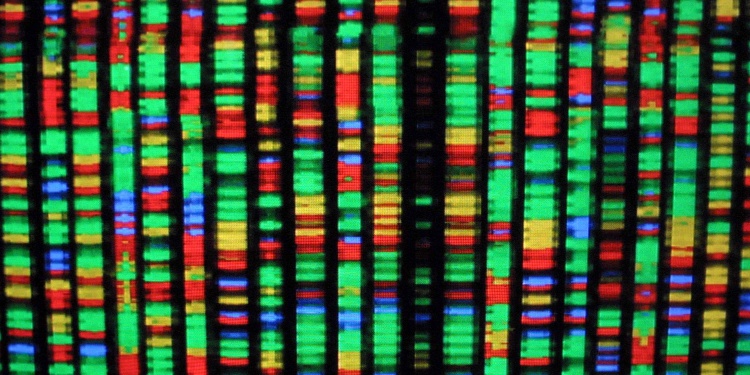 genomic workshop