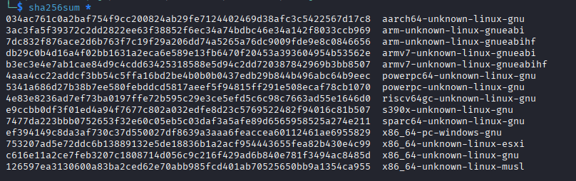 ransomware binary hashes