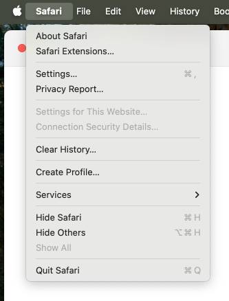 safari extension example