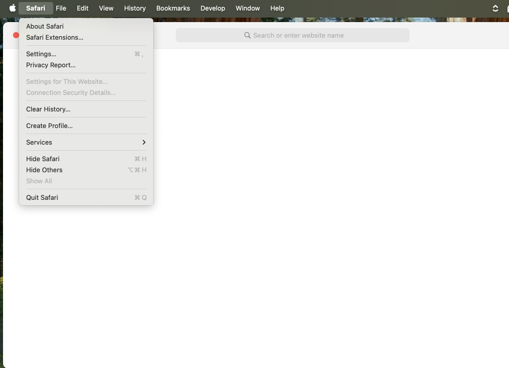 step 4 safari 2