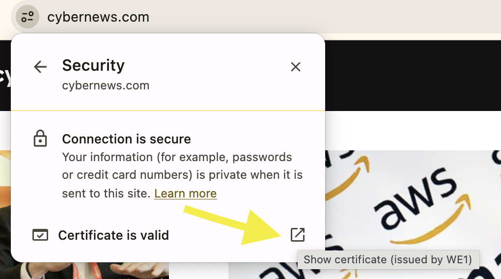 show security certificate