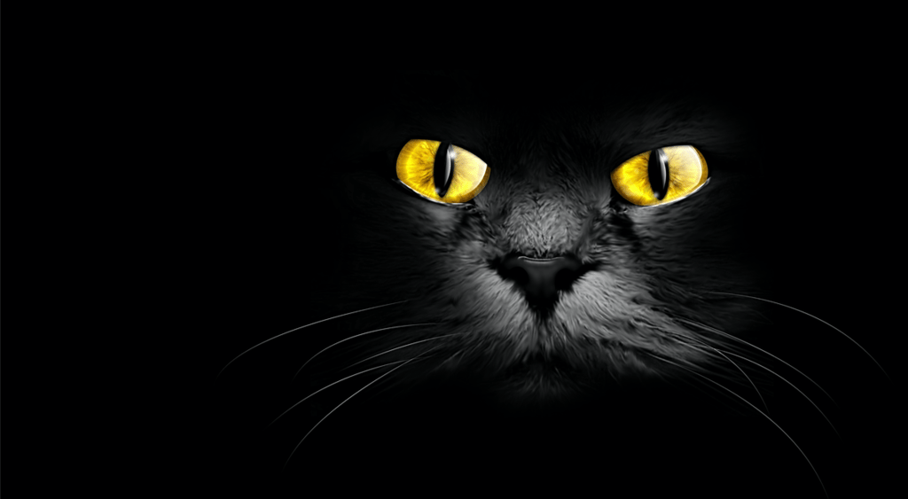 BlackCat. Shutterstock