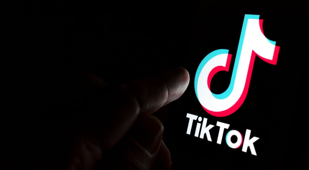TikTok security