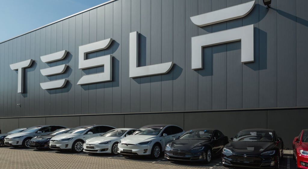 Tesla Assembly Plant
