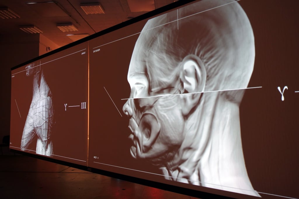 Codex. Prototype exhibition