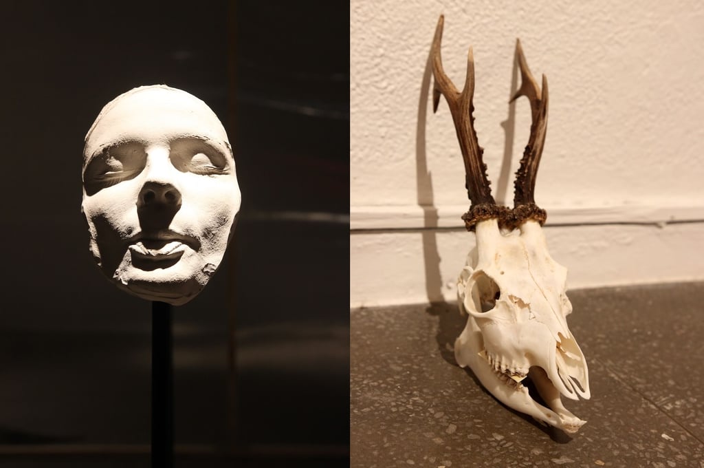 Codex. Prototype exhibition