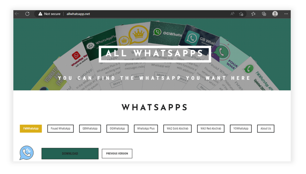 Fake website